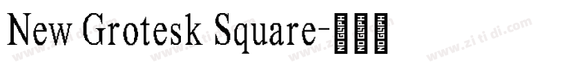 New Grotesk Square字体转换 New Grotesk Square字体转换